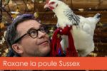 roxane-poule-sussex